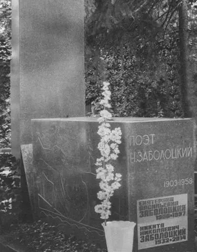 Могила Николая Алексеевича Екатерины Васильевны и Никиты Николаевича - фото 79