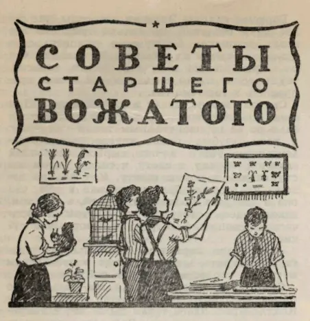 ЧЕМУ ВЫ НАУЧИЛИСЬ ЛЕТОМ Вот и кончается лето Скоро замолкнут лагерные - фото 56