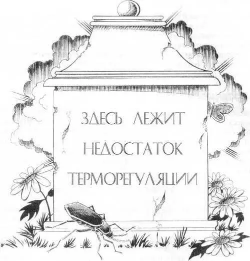 Гипотермия От греческого слова hypo обозначающего под ниже или вниз и - фото 13