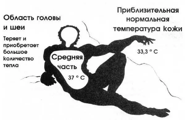 Регулирование температуры у человека представляет собой баланс между выработкой - фото 14