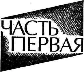 I С четвертого этажа ей хорошо были видны и прилавки еще полупустые и - фото 3