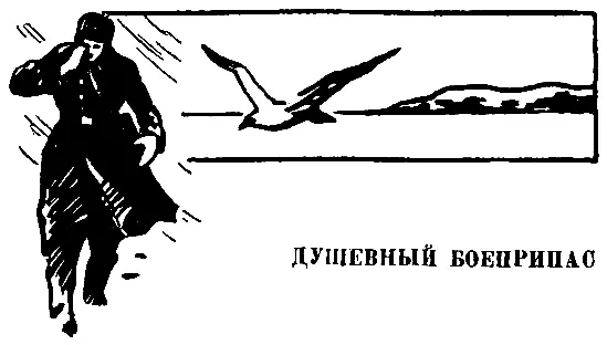 ДУШЕВНЫЙ БОЕПРИПАС Островок лежит почти в центре залива Его высокие отвесные - фото 11