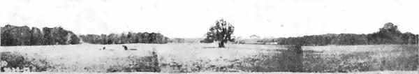 Рис 6 Эджвудский арсенал Верхний рисунок вид местности 24 октября 1917 г - фото 6