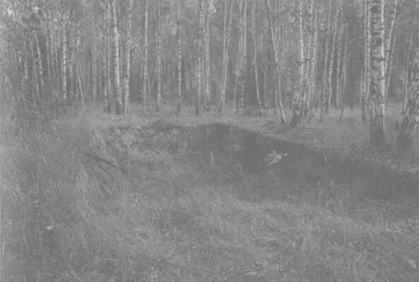 Рис 21 Следы раскопа Пошёл в направлении предполагаемого сектора обстрела - фото 26