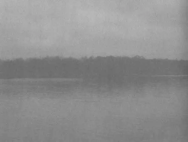 Рис 24 Может быть там живут лисы и волки тетерева и другие лесные - фото 29