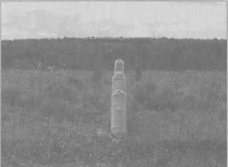 Рис 35 Вид на южные ворота и стража ворот Рис 36 Вид с юга Виден - фото 40