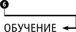 Глава 6 Обучение Мы ощущаем себя центром мира Наше влияние распространяется - фото 72