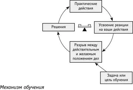 Это механизм уравновешивающей обратной связи Вы учитесь ради чегото - фото 74