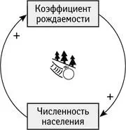 Это другая разновидность усиливающей петли все при прочих равных условиях - фото 90