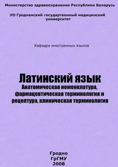 Дмитрий Кондратьев - Латинский язык