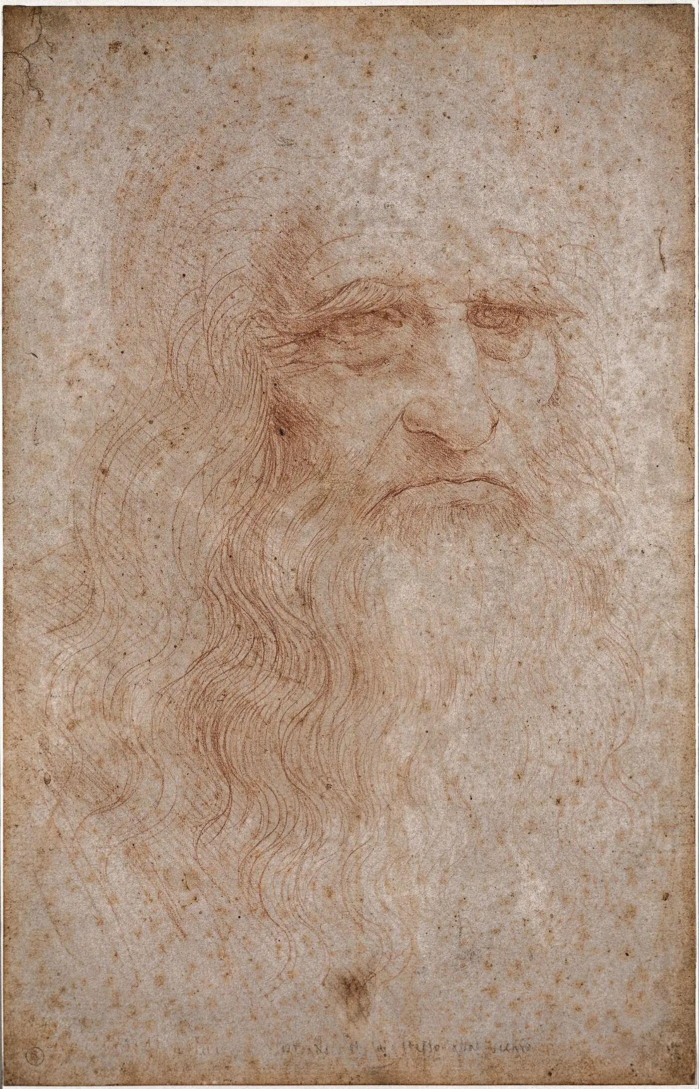 Леонардо да Винчи Автопортрет 155 Совершенство тела не должно заменять - фото 20