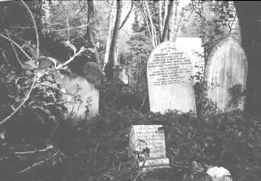 Викторианские джунгли Кладбище было создано в 1839 году в самом начале - фото 14