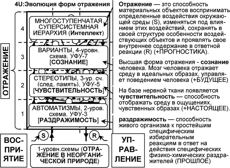 Рис 76 Соответствие универсумного описания процесса образования интеллекта - фото 245