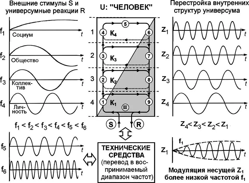 Рис 118 Частотная стратификация универсумных процессов на примере - фото 39