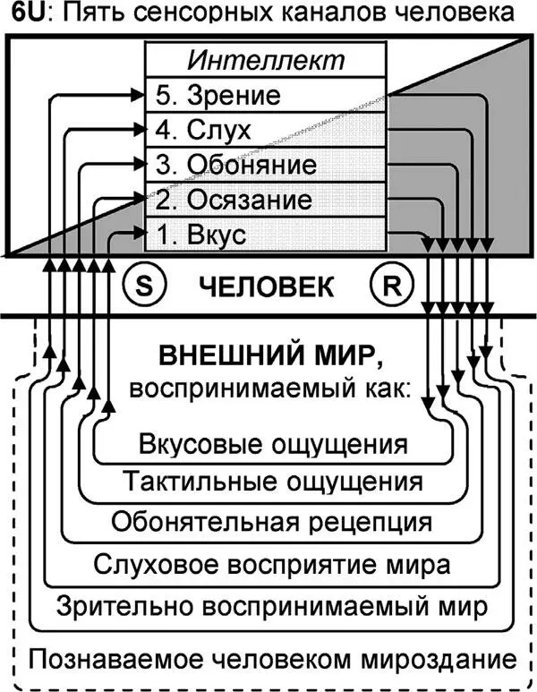 Рис 21 Генезис сенсорных каналов восприятия мира человеком Генезис - фото 48