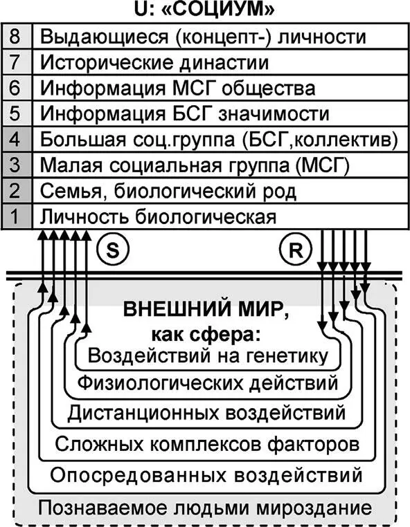 Рис 25 Универсумная стратификация социума Функционирование большой - фото 56