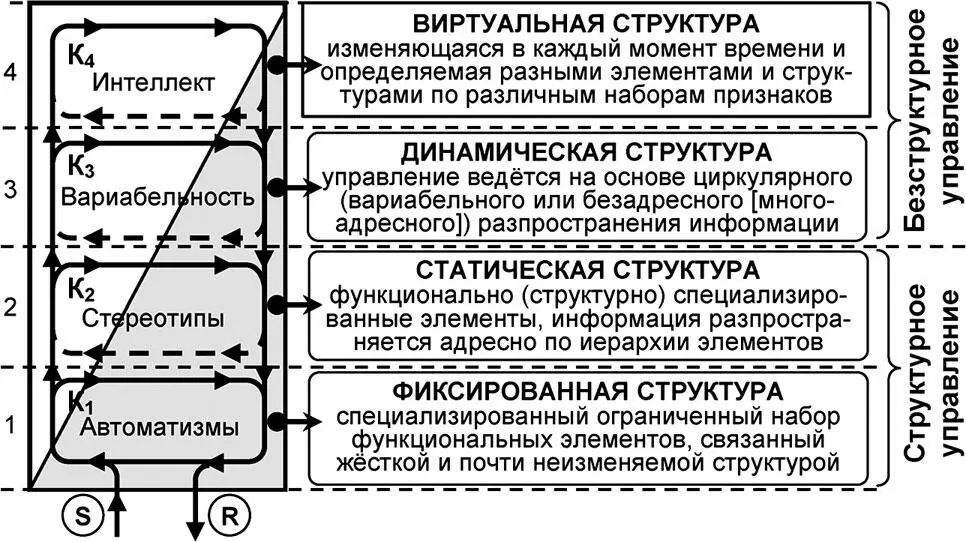 Рис 315 Типологизация универсумных структур класса 4U Таким образом - фото 99