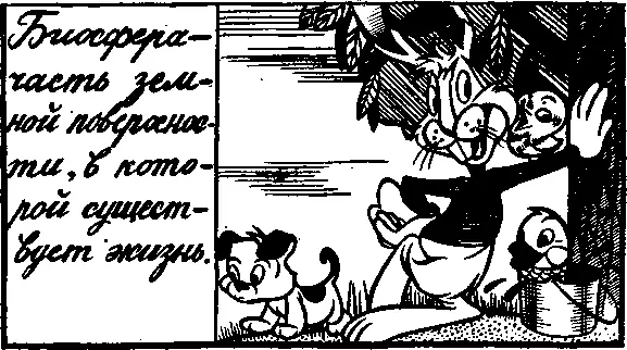 Разрушают защитный щит предохраняющий жизнь на Земле от губительного - фото 183