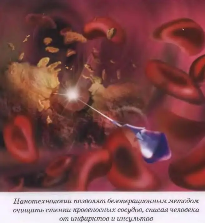 Наше короткое путешествие через тысяче летия открытий и прозрений - фото 84