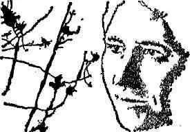 Этой весной Синцовы переехали в новую квартиру Сам Синцов уже несколько лет - фото 38
