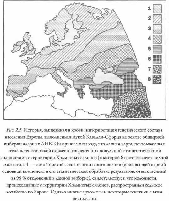 В 1997 году команды КаваллиСфорца и Сайкса яростно ополчались друг на друга на - фото 14
