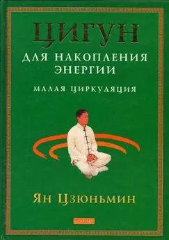 Ян Цзюньмин - Цигун для накопления энергии. Малая Циркуляция