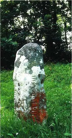 Камень с огамическими письменами Между IV в и X в н э Графство Керри - фото 356