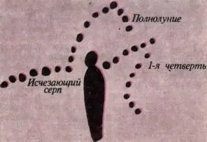 Возраст этого рисунка красной охрой на стене пещеры АбрисделасВиньяс - фото 35