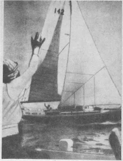 ДжилсиМот Ж финиширует 27 августа 1966 года яхта Чичестера ДжипсиМот IV - фото 22