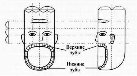 Рис 108 Проекции зубов в системе соответствия голове голова животного - фото 101