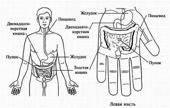 Рис 114 Проекция желудочнокишечного тракта на кисть Очень эффективна - фото 107