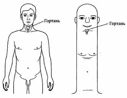 Рис 60 Проекция гортани в системе насекомого Чтобы уменьшить кашель - фото 55
