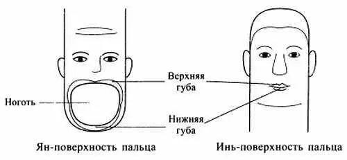 Рис 83 Соответствия губам на пальце А если высыпания появились в области - фото 77