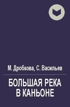 Сергей Васильев - Большая река в каньоне [СИ]