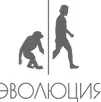 Просветительский фонд Эволюцияоснован в 2015 году сообществом российских - фото 2