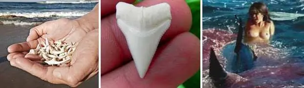 Нет вы точно с ума посходили констатировала Юлька когда мы подробно и - фото 25
