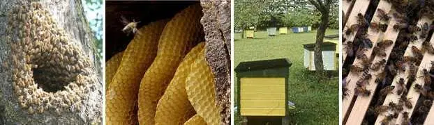 Производство мясорубок например я тоже туда перенести планирую И вовсе не - фото 30