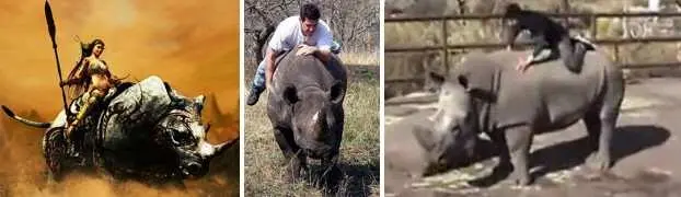 Так носорог же не стадный ни хрена зверь а одиночный Вопервых ты их - фото 23