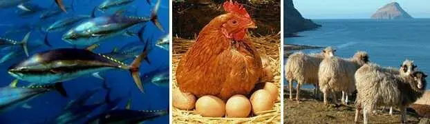 Но важнее всего для нас здесь конечно не сельское хозяйство которое просто - фото 32