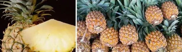Так забираем всё оптом я уже заценил и вкус не сильно уступавший тому - фото 106