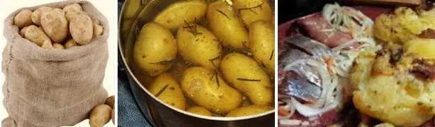 Юля ну подумай ты наконец своей бестолковкой Мы в ВестИндию плывём на - фото 79