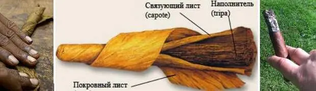 Мы докурили чингачгуки наши с трофеем разобрались Велтур аж светится от - фото 150
