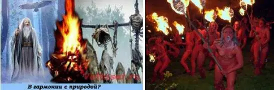 С этим не поспоришь вынуждена была признать наша историчка Во второй - фото 314