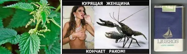 А чего кстати восстанието на убыль пошло допытывается Серёга Ведь - фото 189