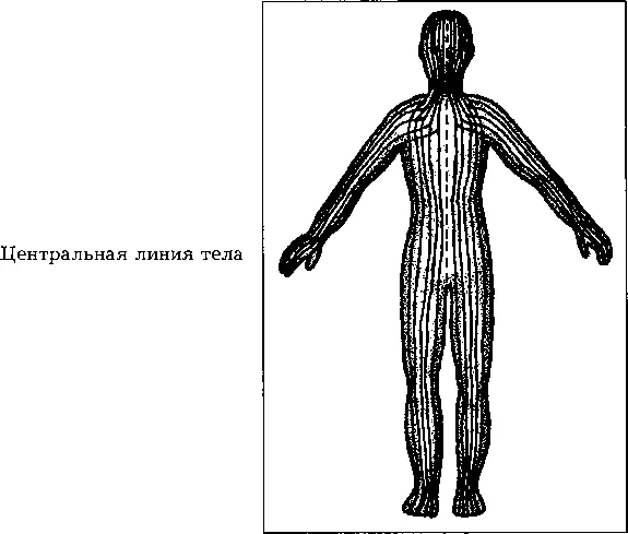 Определение чувствительных точек правила Правило 1 Чувствительные точки - фото 57