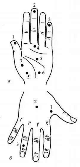 Скорая помощь на кистях а ладонь 1 астма 2 озноб стресс - фото 42