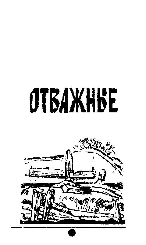 ОТВАЖНЫЕ Глава первая КАЗНЬ НА БАЗАРНОЙ ПЛОЩАДИ Мальчик пос - фото 9