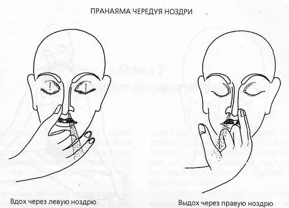 используют какуюто часть правого полушария А когда ученый работает в - фото 4