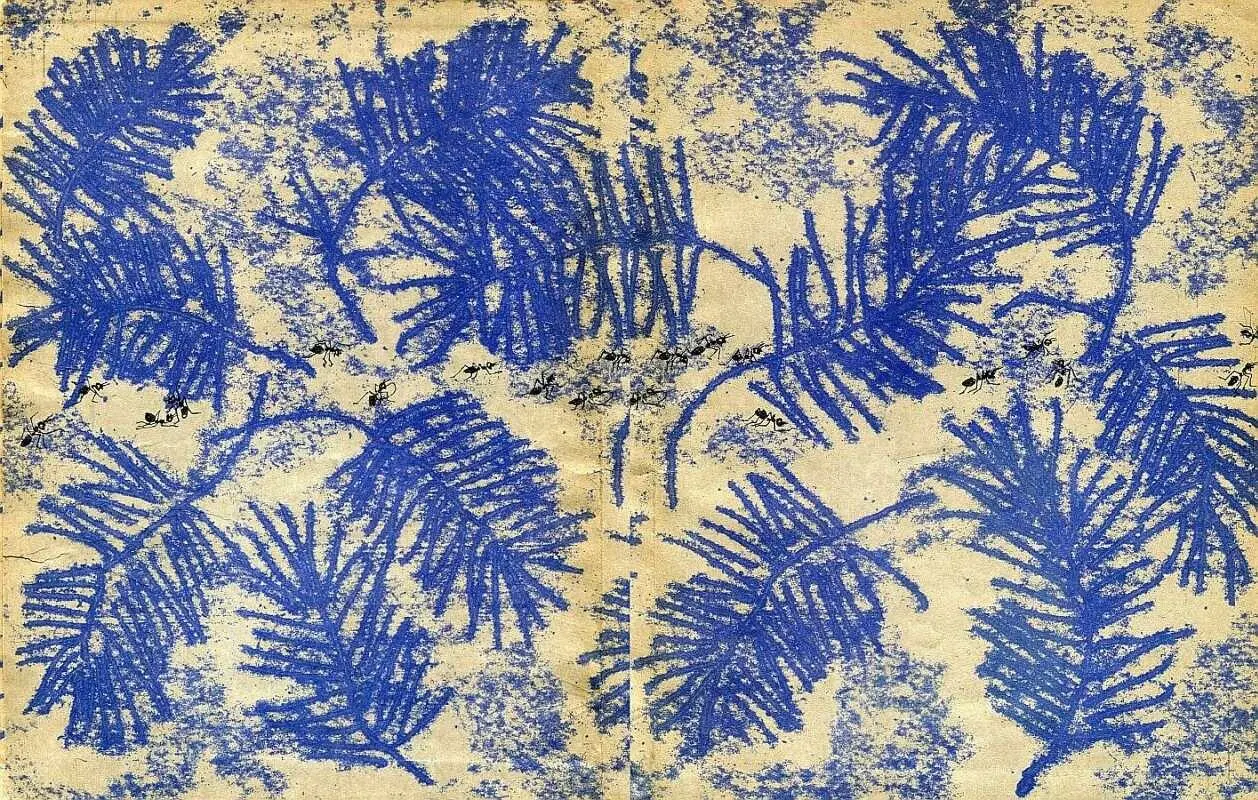 Примечания 1 Шикша сибирское и камчатское название ягод и растения - фото 47