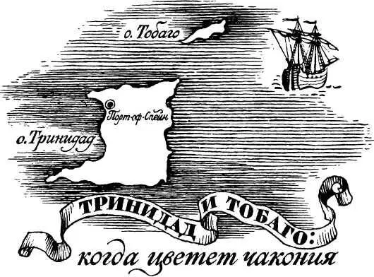 ТРИНИДАД И ТОБАГО КОГДА ЦВЕТЕТ ЧАКОНИЯ Чакония зацветает в августе И тогда - фото 4